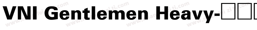 VNI Gentlemen Heavy字体转换